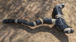 BMW 1 Series M135i F40 2020 Standard Exhaust