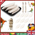 10 Packs Long Cuttlebone Cuttlefish Bone Bird Fish Chew Calcium Food-UK