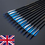 12pcs 30'' Carbon Arrows SP550 Removable Tips Compound Recurve Bow Hunt Archery