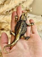 Fine lifelike Brass Bearded dragon Miniature, dragon sculpture
