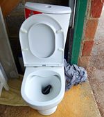 3-Piece Bathroom Suite: White Toilet Soft Close Seat, Shower Tray & Vanity Basin