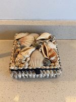 Vintage Sea Shell Trinket Box with Red Lining Trinket Holder Jewelry Box