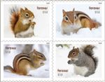*NEW* MNH 2026 SC#6129-6132 Squirrels & Chipmunks in Snow Forever Stamp Booklet