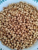 Joblot 500 Beads Wooden Beads 8mm New Craft Jewellery Making