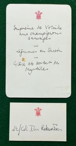 Prince Charles Highrove Royal Menu Polo Playing & Breaks His Arm 1990