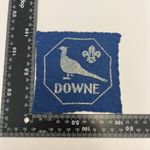 Scout Guide Campsite Badge Downe (D178)