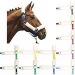 Horse Headcollar Halter Padded Soft Elegant Pony Cob Full Stable Equine Riding