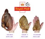 48Hr TRACKED  100% Natural XXLarge Pork Pig Sows Ears Grade 'A' Dog Chew Treat