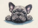 FRENCH BULLDOG puppy dog Full counted cross stitch kit all materials Fido Stitch
