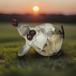 Ceramic Studio Pottery Chicken Figurine  In Laying Position With Metal Feet