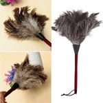 1x/2x Anti-static Ostrich Feather Fur Brush Duster Dust Cleaning Tool Wooden