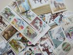50 HORSES Stamps Horse/Pony/Ponies All Different Thematics World Mixed Postage