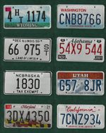 JOB LOT SET OF 8 ROUGH CONDITION AMERICAN LICENSE NUMBER PLATES Set6503