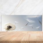 Kitchen Glass Splashback 125x50 Dandelion