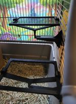 5x Mesh Small Pet Platforms Ledge Set for Rats, Mice, Hamsters 10x7cm