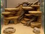 reptile/snake exoterra  aquarium 3D - Background (Savannah)