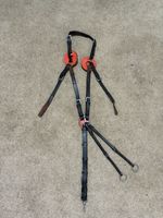 5-Point Breastplate with Detachable Martingale Brown Pony