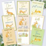 Guess How Much I Love You Milestone Cards • Baby Shower Gift • New Baby Gift 