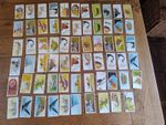 Vintage Retro Collectable Tea Cards 65 Brooke Bond Tea Vanishing Wildlife
