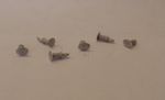 P&D Marsh OO Gauge PW93 Oval head buffers (12) castings require painting