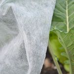 Yuzet White Plant Protection Fleece Garden Cover 17gsm 35gsm Frost Pest