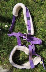 Lunge Cavesson Purple, Padded Cob/full Excellent Condition