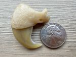 Vintage Medium Size 40.32mm X 34.28mm (tiger claw) Very Rare!!!