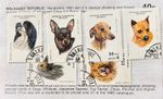 MADAGASCAR AFRICA 1991 DOGS BREEDS PAGE FROM OLD STAMPS APPROVAL BOOK MAY2024B