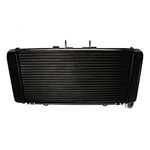 Pattern Replacement Aluminium Radiator for Honda CB 1300 F Super Four 03-09