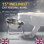 Raised Cat Bowl 15° Tilt 304 Stainless Steel Elevated Pet Food Dish Feeder Stand
