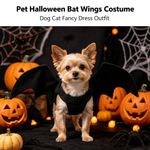 Animal Pet Dog Cat Bat Vampire Halloween Fancy Dress Costume Outfit Wings Gift