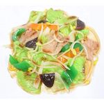 Japanese Fake Food Stir-fried vegetables Highly Realistic Replica Display Japan