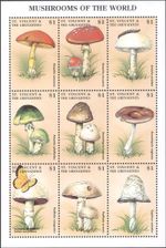 St Vincent 1998 Fungi/Mushrooms/Plants/Nature/Butterfly/Ladybird 9v sht (b7735p)