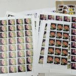 1993/4 Sahara OCC RASD Stamps, Blocks & Sheets MNH. Many 100s of stamps. 