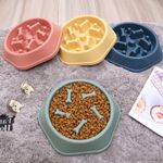 Dog Bowl Slow Feeder Pet Bowl Anti Bloating Anti Slip Feet Interactive Feed Dish