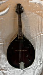 Stagg Electric Mandolin Electric Mandolin Sunburst Pickup