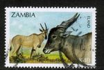 Zambia 1992 SG701 40k Antelopes Eland Used
