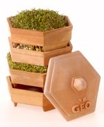 GEO Terracotta Sprouter Starter Kit With 3 Free Packs Of Seeds