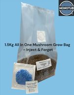 Mushroom Growing kit 1.5Kg - All In One – Inject & Forget Mushroom grow kit