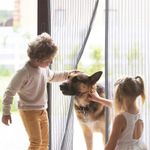 Magic Curtain Door Mesh Magnetic Fastening Mosquito Fly Bug Insect Net Screen