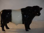 Rare Breeds Belted Galloway Bull Coopercraft Ceramic Figure 16.5cm High x 25.5cm