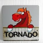 Stable Door Sign Horse Pony Name Plate Personalised Chestnut Metal WEATHERPROOF