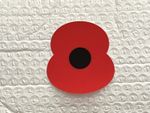 Poppy Patch 2021-2022 Football Badge ENGLISH PREMIER LEAGUE player’s size badge