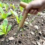 Hand Dibber Mirror Polished Stainless Steel Hardwood Handle Planting Garden Tool