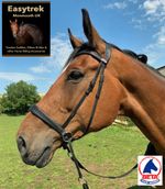 English Bitless bridle leather anatomical comfort bit free bridle& free reins 🐴