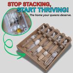 Ant Queen Founding Nest Kit | Test Tube Holder Organizer & 5 Tubes | Starter Ant