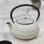 White Finish Cast Iron Japanese Inspired Traditional Teapot with Strainer