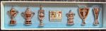 Coventry City Champions Trophy Pin Badge Set