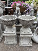 Pair of Ornate Planters on Concrete Plinths 
