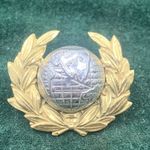 ROYAL MARINES CORPS OFFICERS BI-METAL COLLAR BADGE -  3.5cm x  3cm - good  pin.